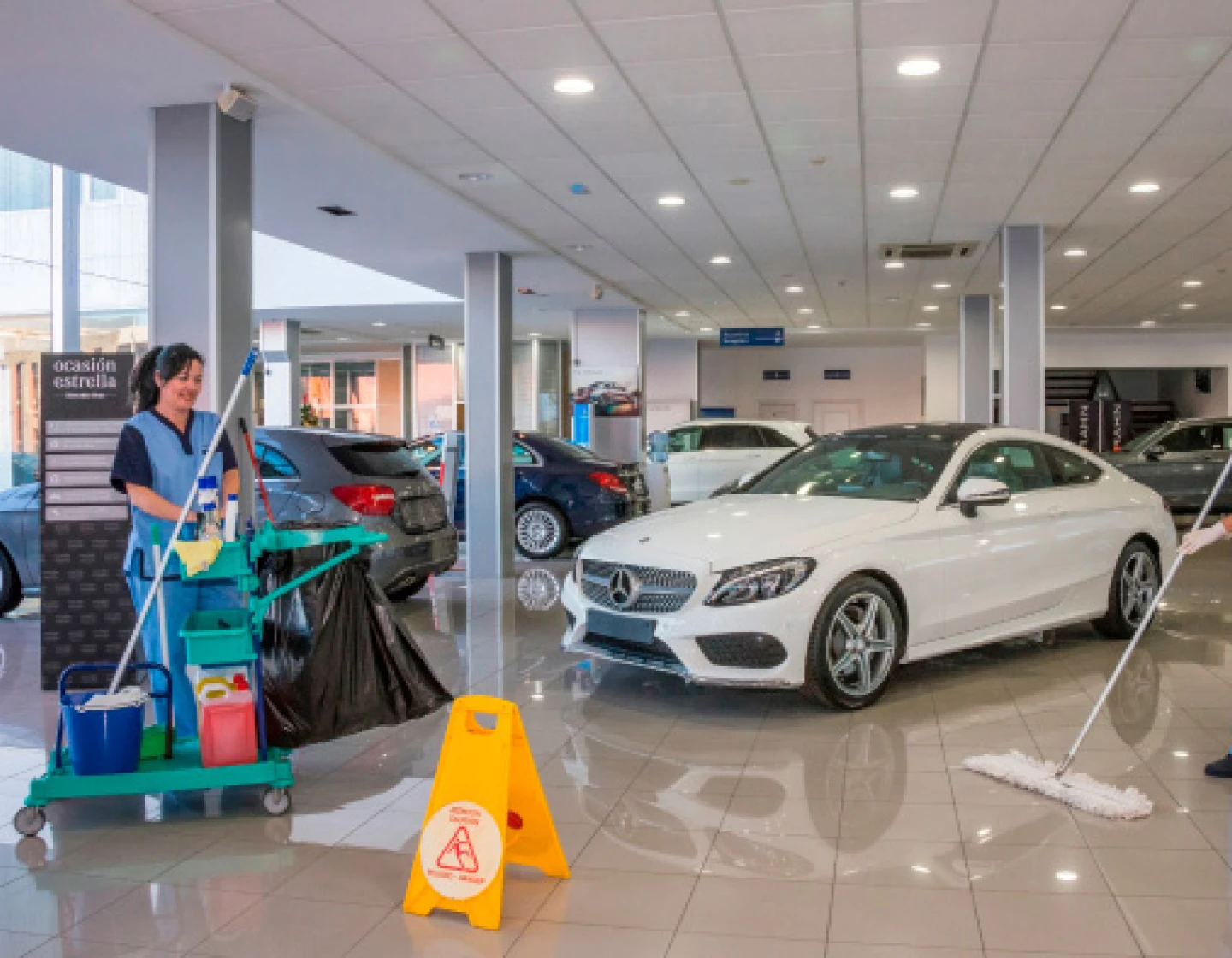 Dealerships Automotive